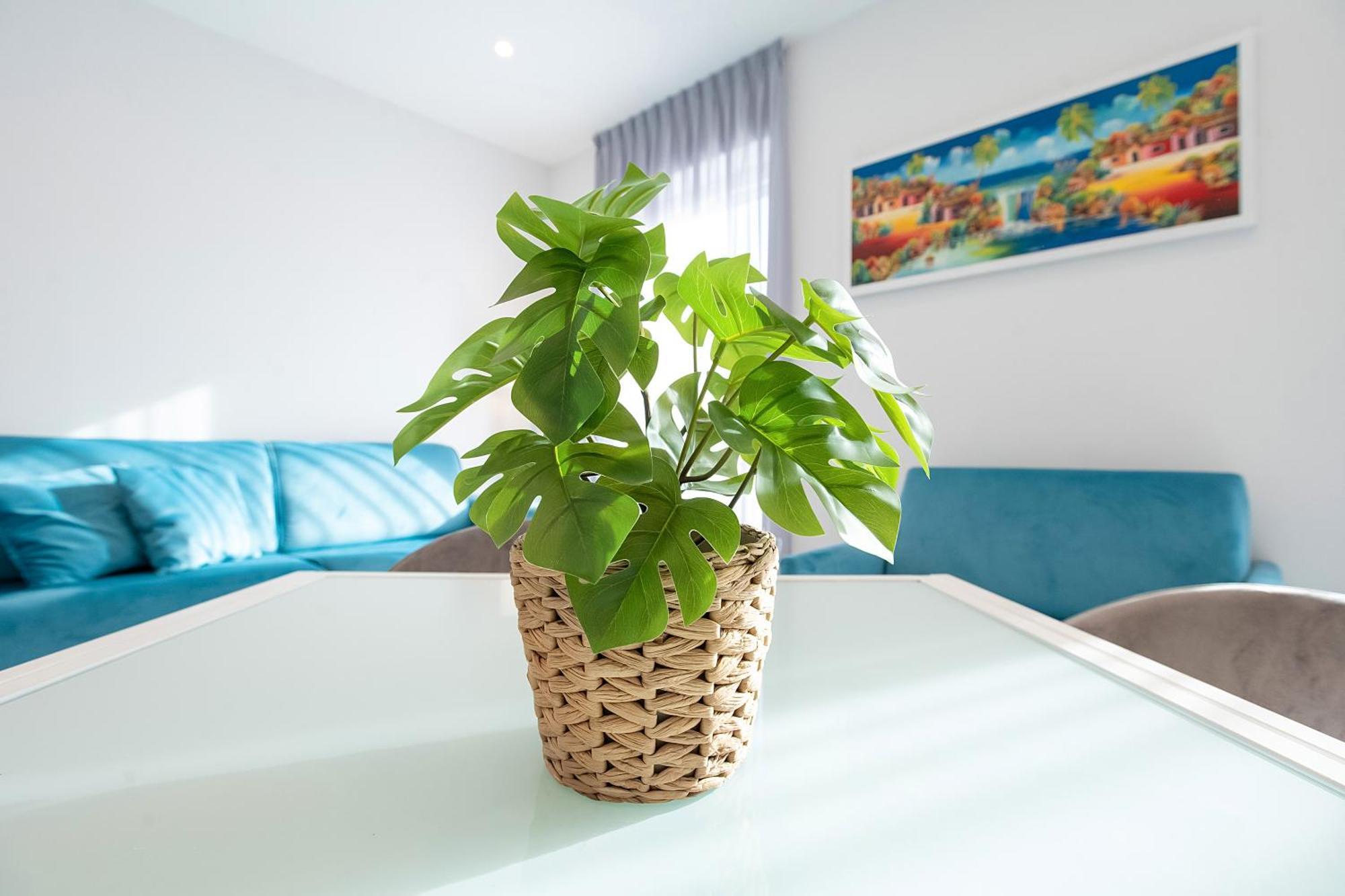 Apartment Luxury Lungomare *